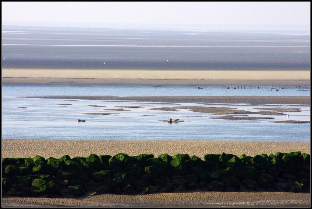 Logis Hotel & Restaurant "Au Gre Du Vent" Berck Luaran gambar